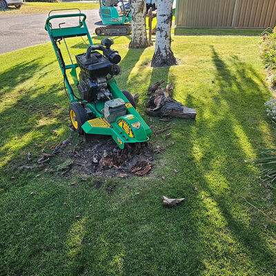 Hire Petrol Stump Grinder - Small 