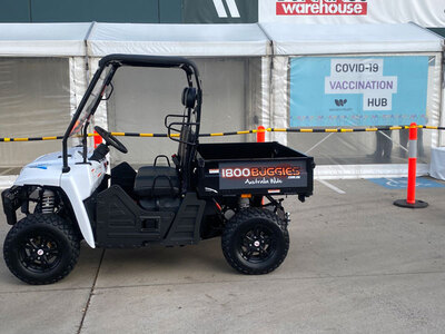 Hire 2 or 4 SEATER BUGGIES, available in unleaded, diesel or electric options