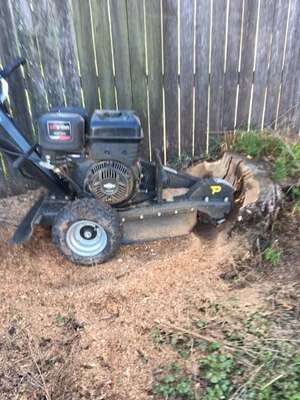 Stump grinders available for hire