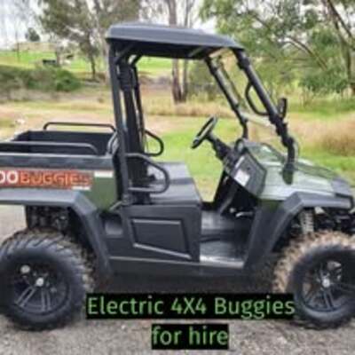 Hire 2 or 4 SEATER BUGGIES, available in unleaded, diesel or electric options