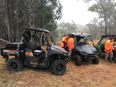 Hire 1800BUGGIES Australia's Largest Buggy Rental Fleet
